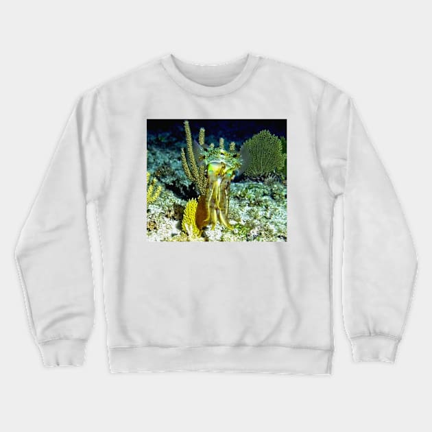 Squid at Night Crewneck Sweatshirt by Scubagirlamy